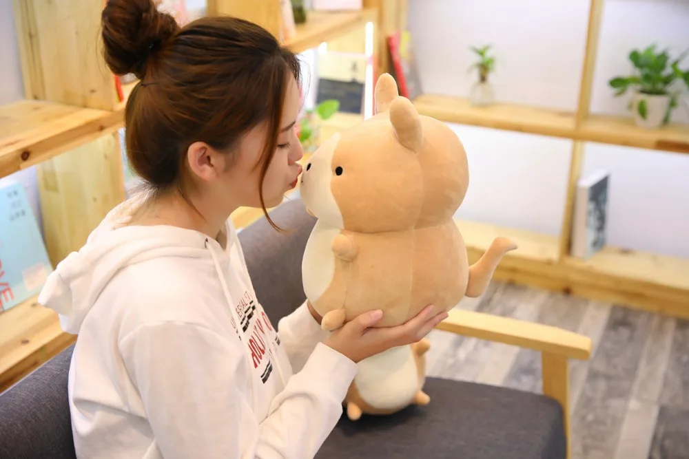 9037065154_526651954