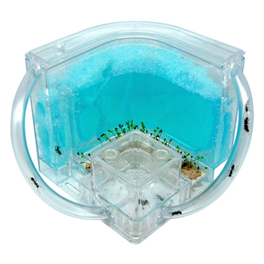 

Separable Ant Homeland Farm Ant Nursery Habitat Nest Maze - Blue