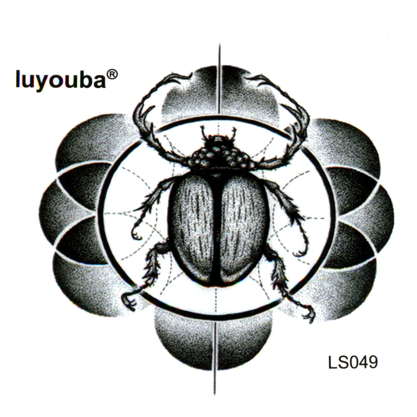 ls049