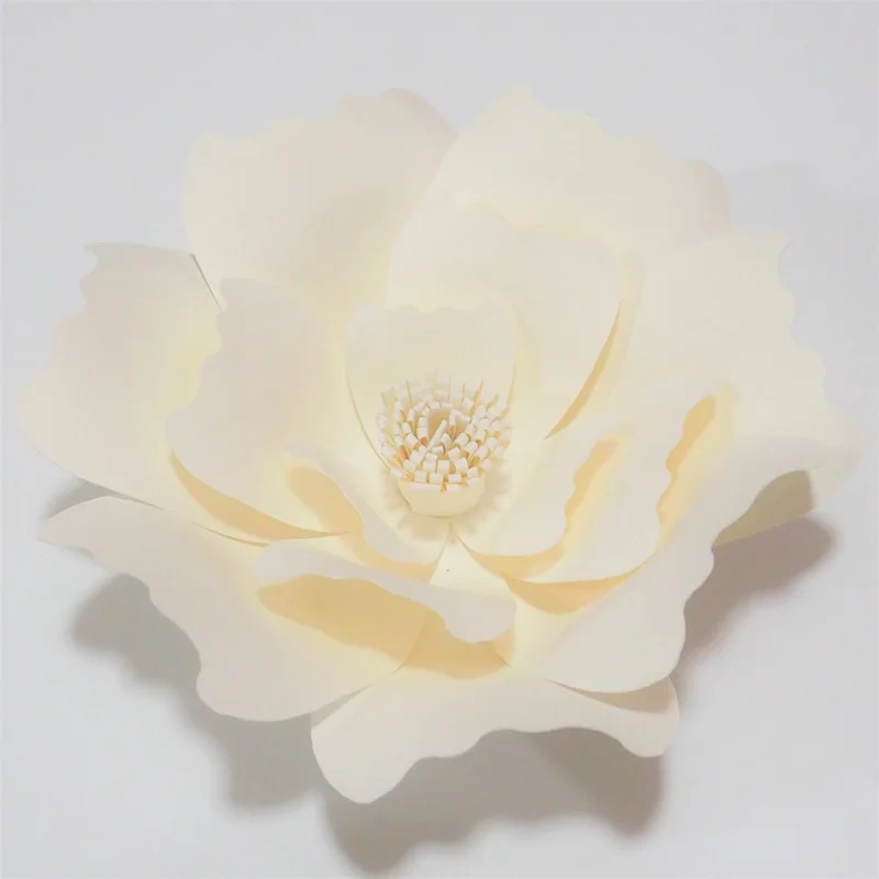 P4302612
