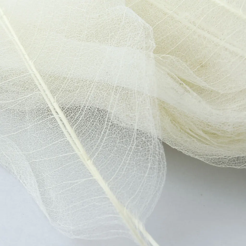 100x Natural Magnolia Skeleton Leaf Leaves Card Scrapbooking DIY Crafts White