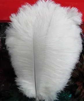 

Free shipping 12 color avaliable 8"-10"/20-25cm ostrich feathers plumage flapper dresses for wedding part decoration 100pcs/lot