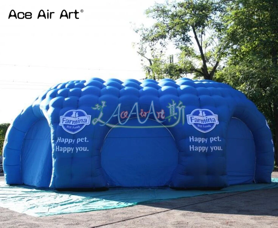igloo_