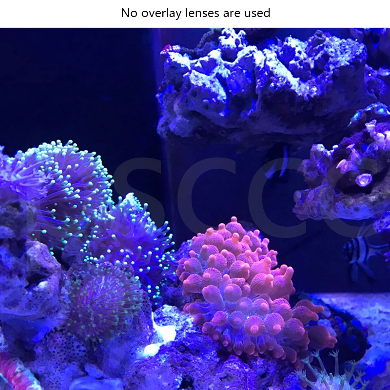 Морские аквариумные коралловые баллоны переходят в синий светофильтр морская вода зеркало фильтровать Синий Свет Коралл Съемки сцены в ad
