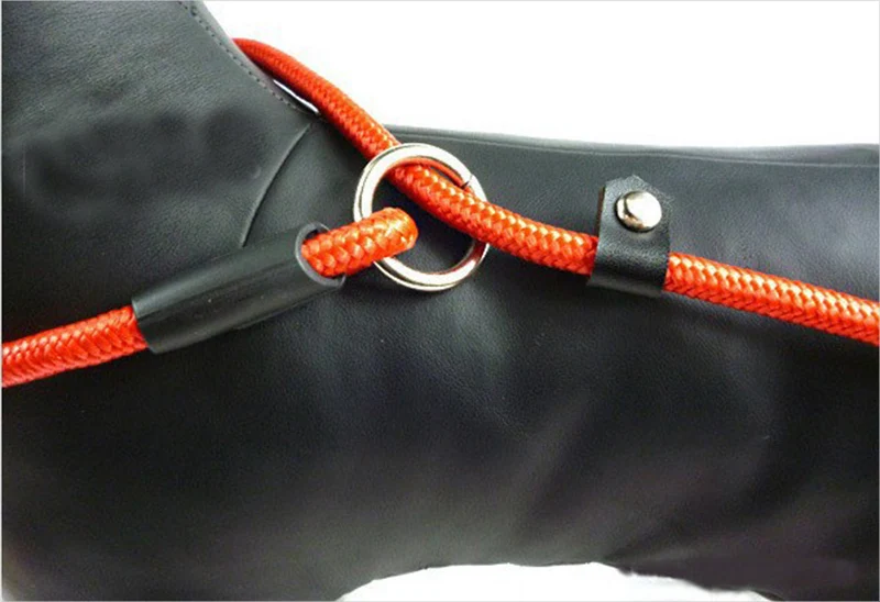Nylon dog rope