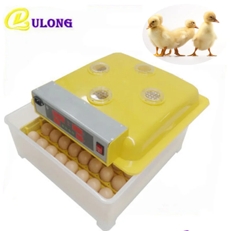 Mini household chicken eggs incubator digital temperature control auto hatcher machine hatching tool Mini household chicken eggs incubator digital temperature control auto hatcher machine hatching tool