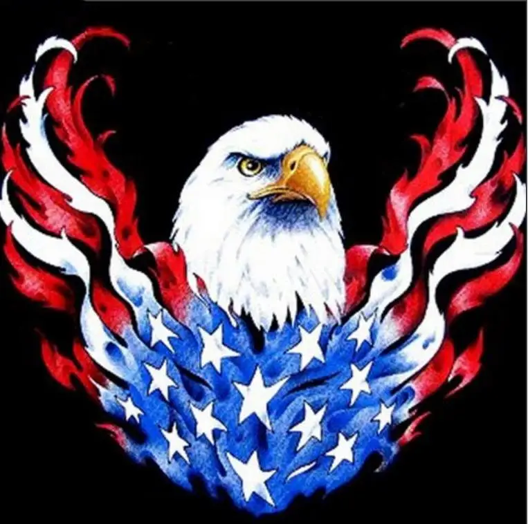 36020190315165431270