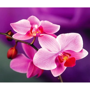 

Diamond Painting Full drill square/round Peach blossom Mosaic DIY Diamond Painting Cross Stitch Embroidery Home Decor