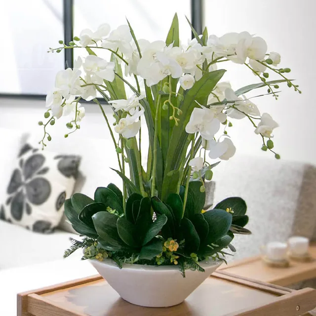 200 Stks/zak Unieke Witte Phalaenopsis Zaden Potplanten Indoor Bloemen