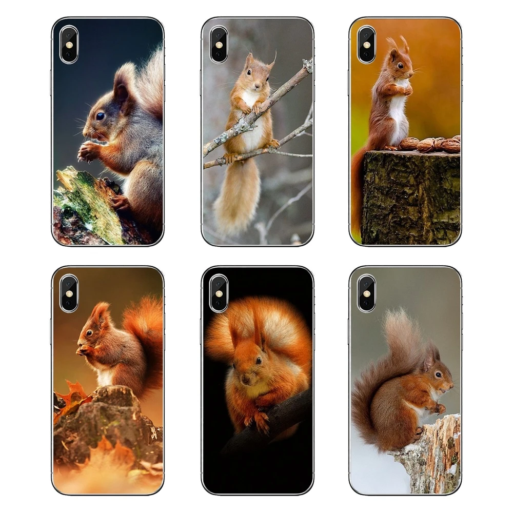 

For Samsung Galaxy A5 A6 A7 A8 A9 J4 J5 J7 J8 2017 2018 Plus Prime Silicone Phone Shell Case Red Squirrel Sciurus vulgaris Print