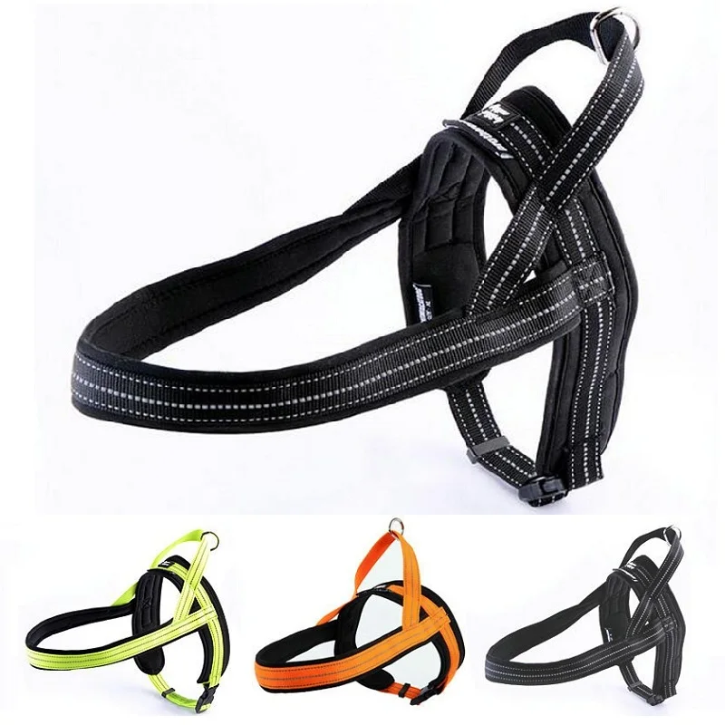 Buy Large Dog Harness Pet Elastic Leash Waterproof