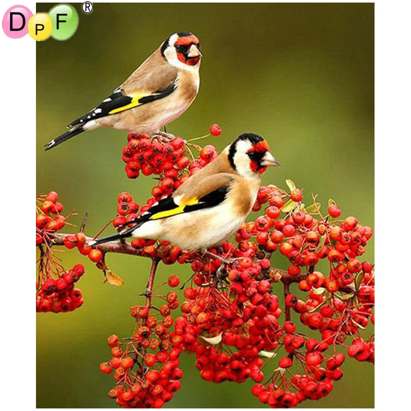 

DPF DIY 5D Diamond painting diamond kit painting rhinestones 3D diamond embroidery flowers Cross stitch decorative Bird Flower