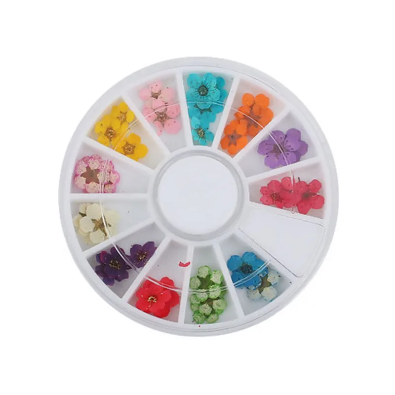 

Doreen Box New Plastic Resin Jewelry Tools Round Multicolor Dried Flower DIY Jewelry Findings 60mm(2 3/8"), 1 Set ( 36 PCs/Set)