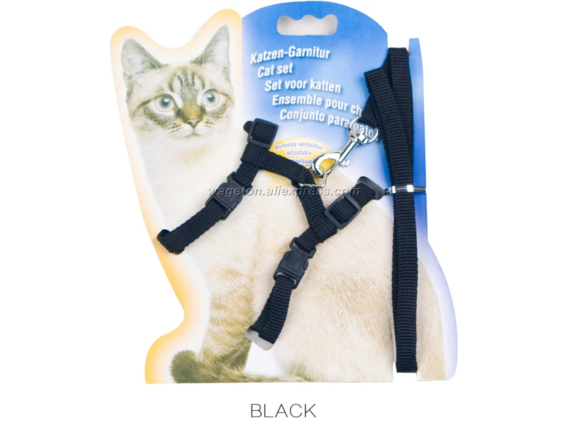 10 cat leashes for outside 