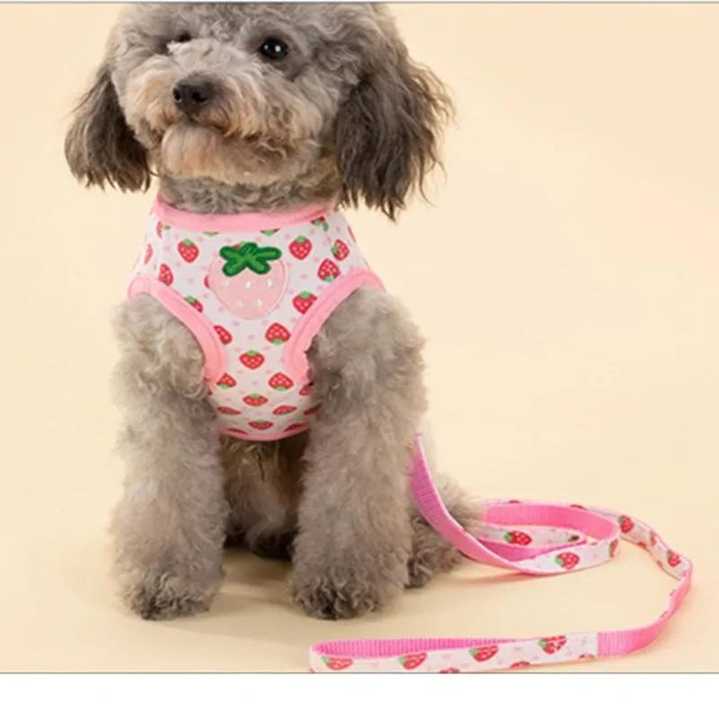 2017 hot New Pet supplies Collars dog breast back traction sets of small strawberry chest Sweet Harness and leash | Дом и сад