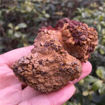 

Rare Natural Dinosaur Poop Fossil Specimen Nice Gift For Stone Collection Healing Reiki Stone Energy Stone