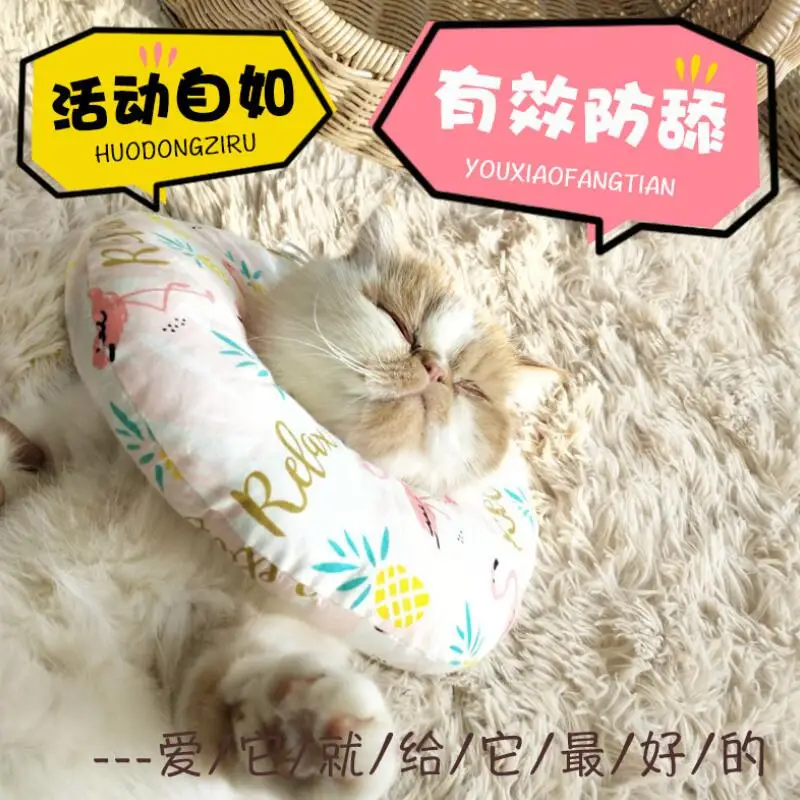 QQ截图20190527184126