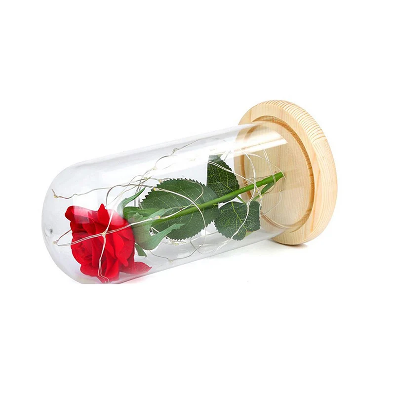 Питание светодио дный Роза бутылку строка LightBeautifu лампы Романтический День Святого Валентина подарок на день рождения DecorationBeauty и чудовище