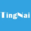 TingNai Autoparts Store