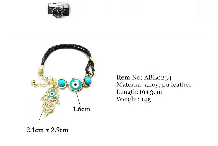 ABL0234(1).jpg
