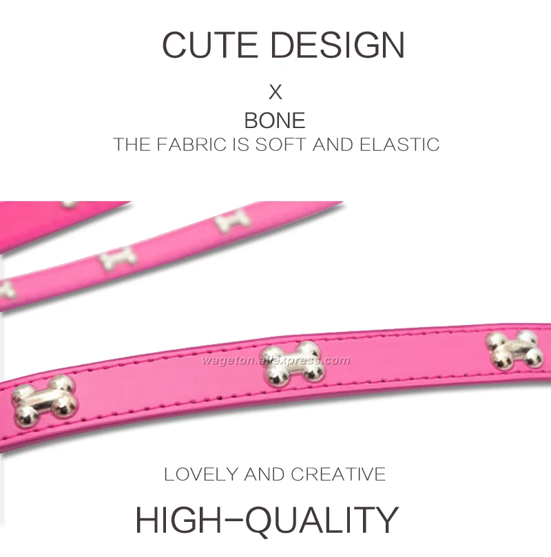 5 dog collars 