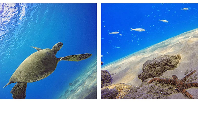 YC10235-gopro5_10