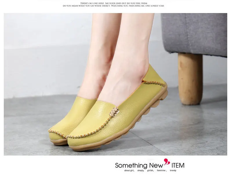 3025538045_1699420686