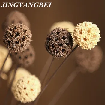 

55cm Natural DIY Dried Flower Primary Color Ball Wedding Decoration Home Party Decorative Artificial Dried Flowers