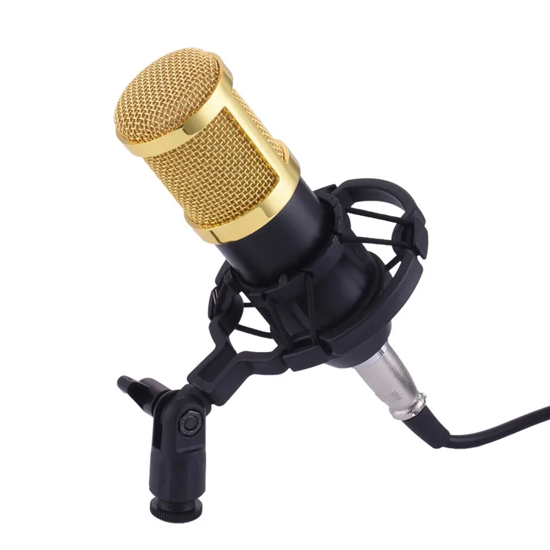 Buy BM 800 Dynamic Condenser Wired Microphone Mic