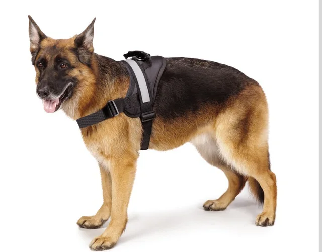 Wholesale Soft Reflective Big Dog Harness for Large Breed Pitbull
