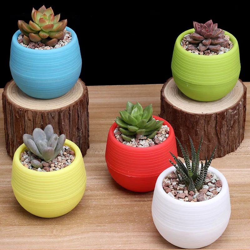 

JQWORV Colourful Round Plastic Plant Flower Pots Home Office Decor Planter Decorative Crafts in the bedroom plant pot maceta
