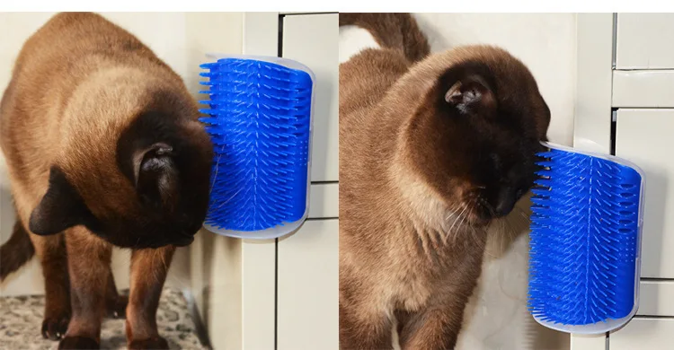 HTB1MeeKkL5TBuNjSspcq6znGFXac