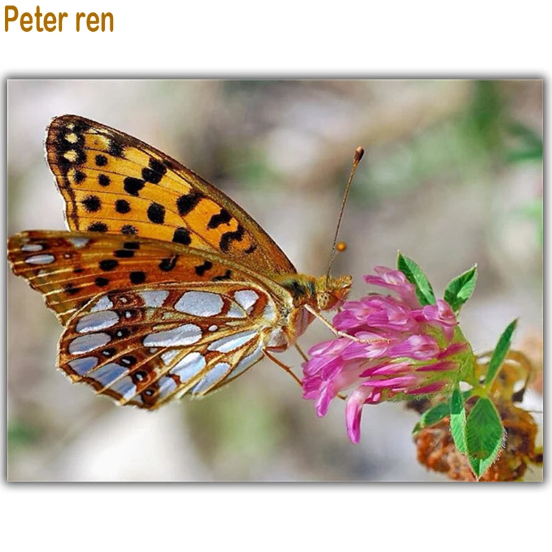 

Peter ren Diamond painting Cross stitch Round/Square Diamond mosaic Full Embroidery with diamonds "Butterfly and flower"