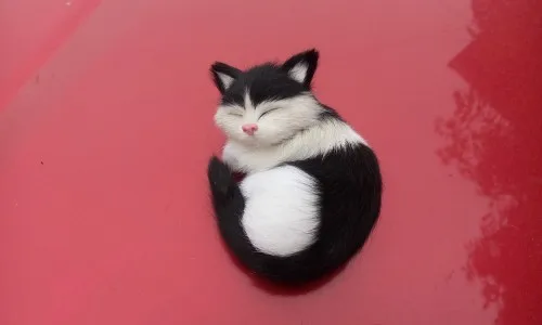 

simulation cat about 10x7cm black& white cat Handmade craft model,polyethylene&furs toy,car ,home decoration Xmas gift w4086