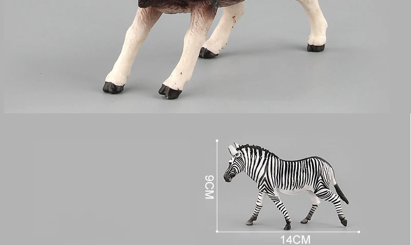 African Wild Animals Toys Antelope Zebra  Cattle Bull Argali Model Action Figures Lifelike Collectible Dolls Figurine Decor Gifts_19