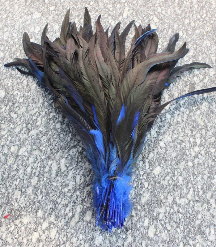 

Wholesale 100 PCS blue natural rooster tail 30-35 cm / 12 to 14 inches