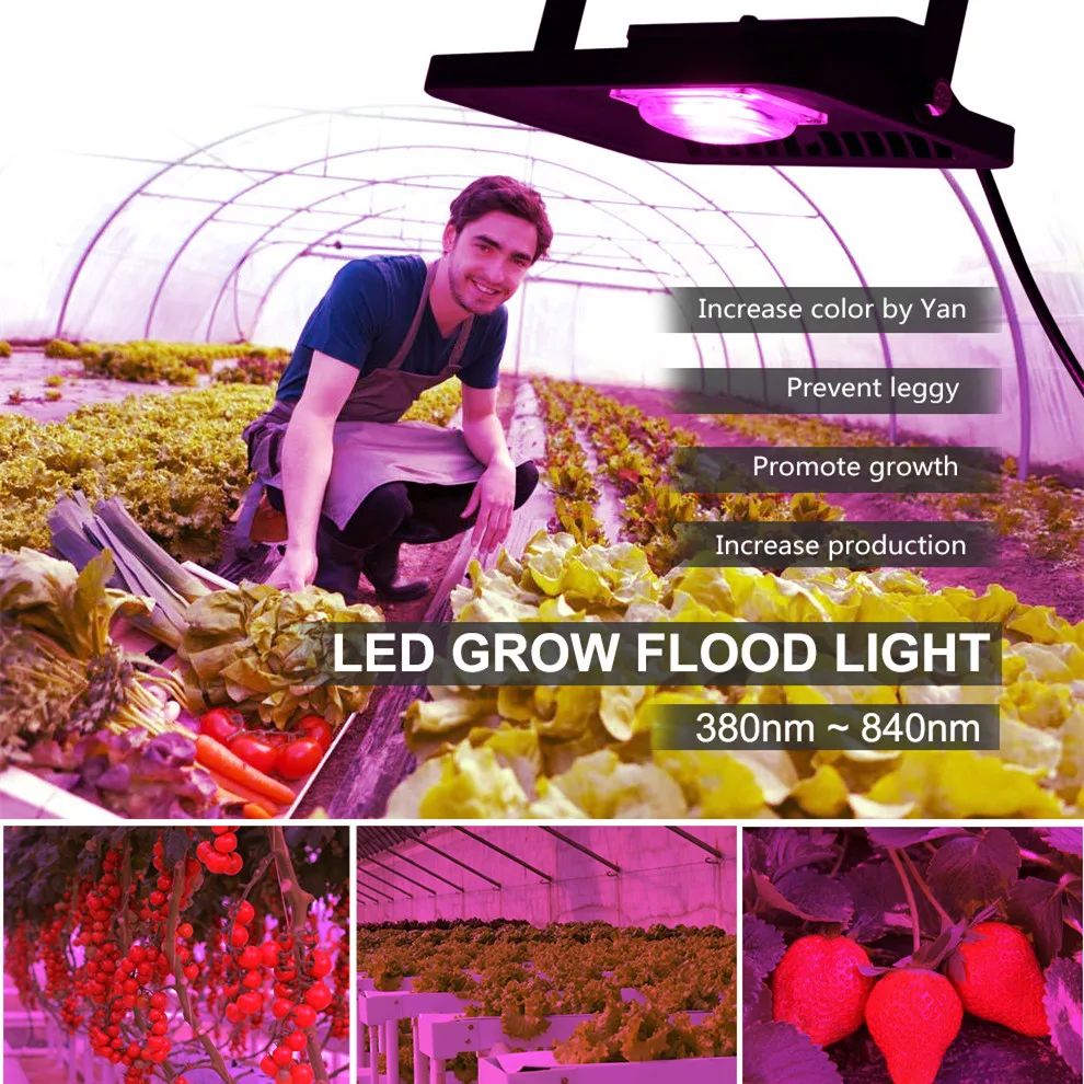 led grow floodlights  (4)
