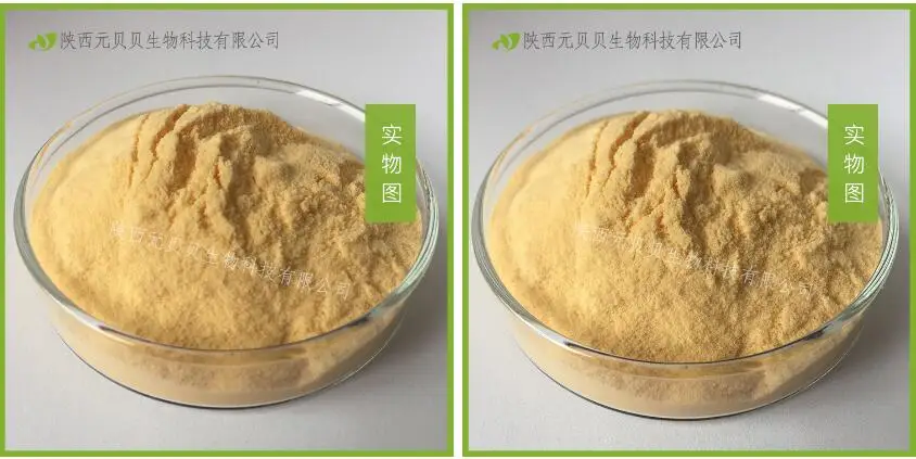 

100% Pure Papaya Extract Powder Enzyme Papain