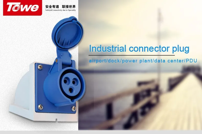 IPS-S316S-1