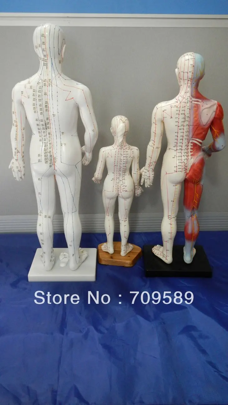 Профессиональная медицинская акупунктура 70 см модель анатомии|acupuncture model|model