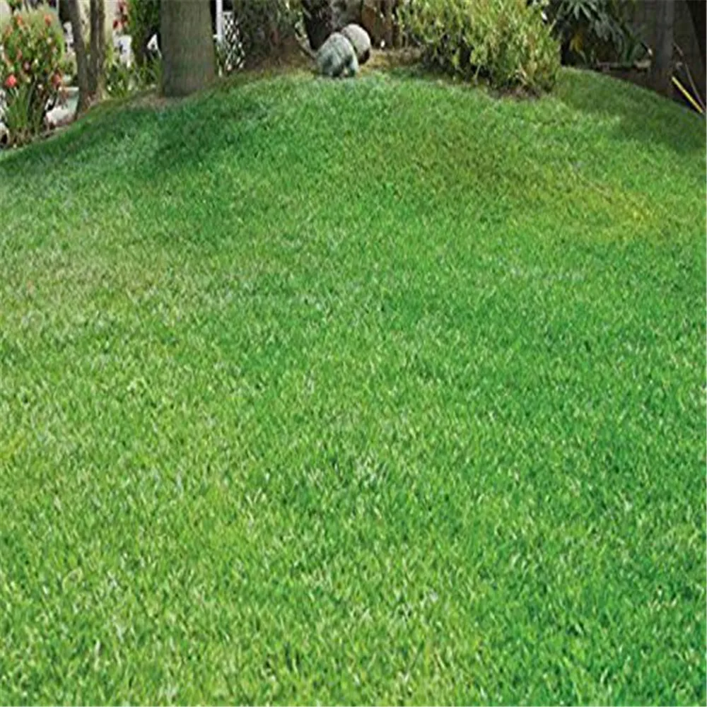 Hydro Mousse Liquid Lawn Growth Garden Sprayer Bottle Grow Grass Anywhere