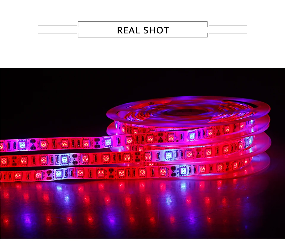 Plant Grow Lights Full Spectrum LED Strip 12V Flowers Phyto Lamp 5M Dimmable Red Blue For Greenhouse Hydroponic + Power Adapter (10)