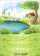 300cm*300cm Vinyl Custom Photography Backdrops Prop Digital Photo Studio Background S-6197