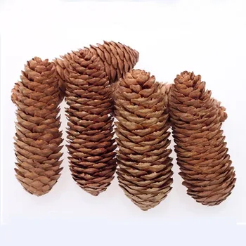 

6 pieces for a lot Nature Scale Pine Cones Home Decoration