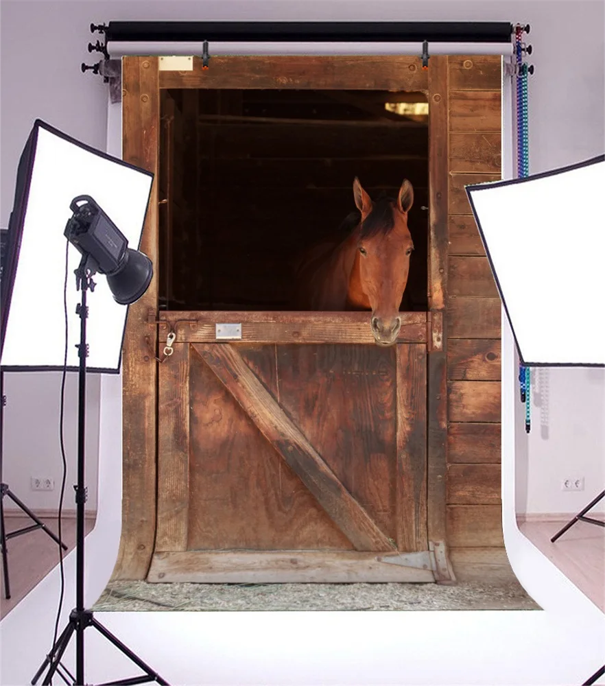 Laeacco стабильная лошадь деревянная дверь фотографические фоны Индивидуальные фотографии фоны для фотостудии