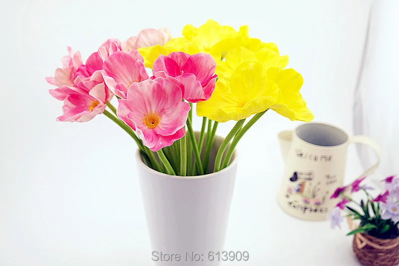 SAM_6419