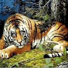 Новая мода новейший большой Тигр Печатный DIY цифровая картина маслом по номерам модная ручная живопись без рамки 40x50 см