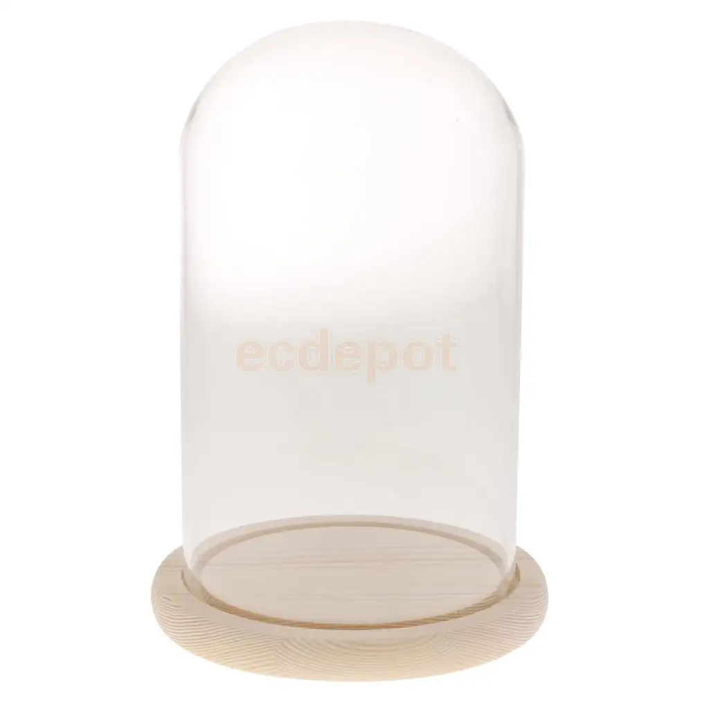 MagiDeal Borosilicate Heat-resistant Glass Display Glass Cover Flower Cloche Jar Dome with Wood Base Centerpieces Decoration 
