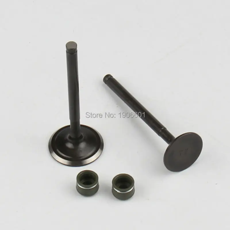 YinXiang 150CC YX160 Valve Oil Seals and Valve set Cylinder Head Valve