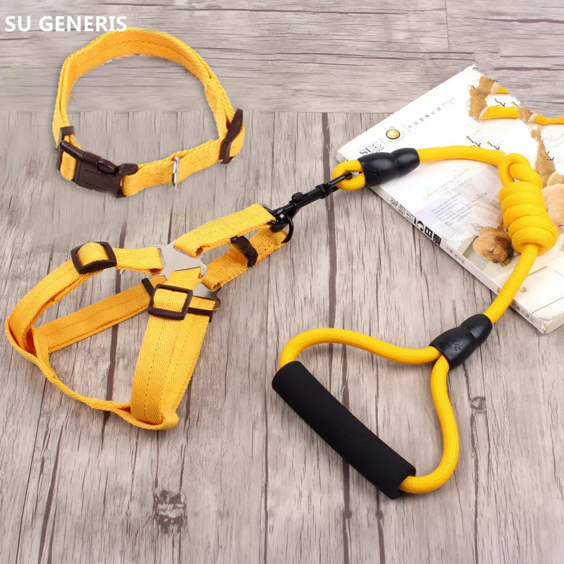 Chest Harness Rope Guide Telegraph